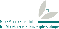 Max Planck Institut of Molecular Plant Physiology